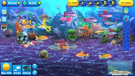 best aquarium game|free virtual fish tank game.